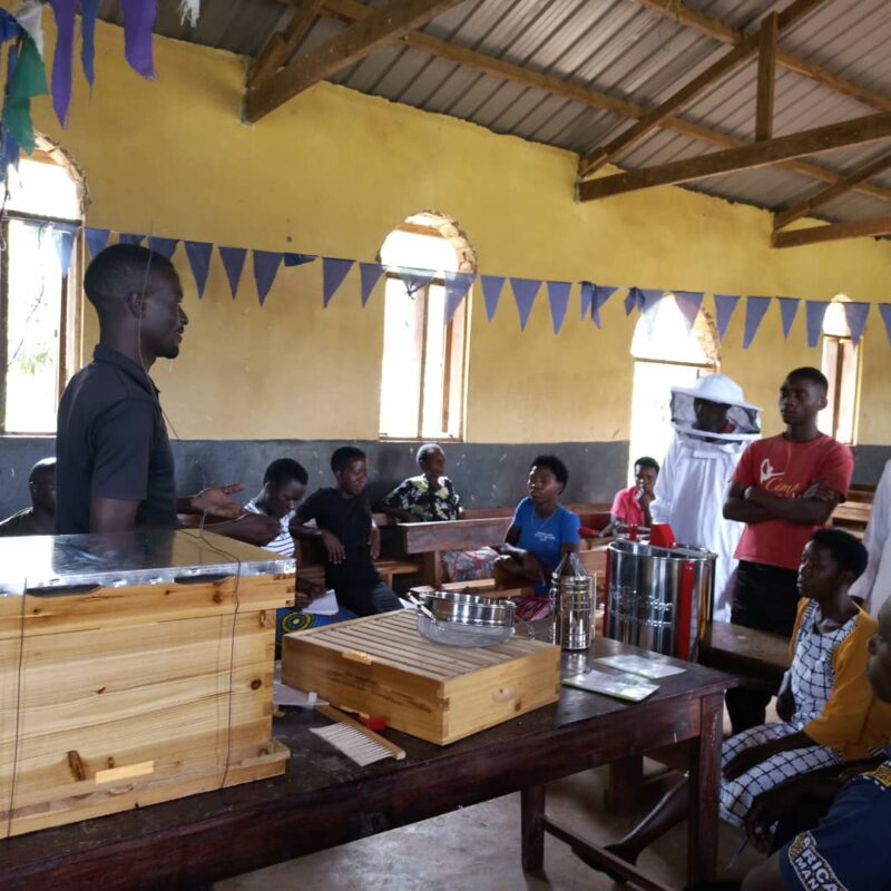 Apiary training to youths organized by Prosper Mama Africa